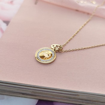 RAK Naszyjnik STAL CHIRURGICZNA Znak zodiaku zawieszka medalion cyrkonie kolor złoty  BLUEBERRY